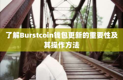 了解Burstcoin钱包更新的重要性及其操作方法