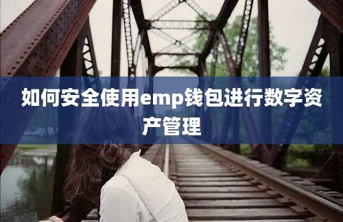 如何安全使用emp钱包进行数字资产管理