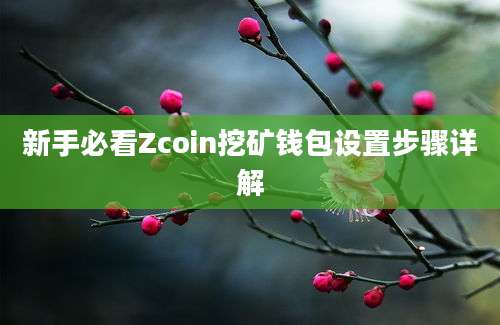 新手必看Zcoin挖矿钱包设置步骤详解