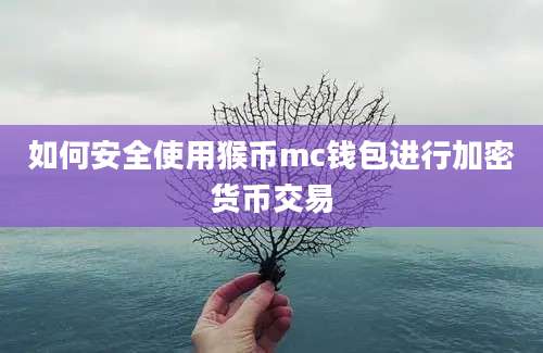 如何安全使用猴币mc钱包进行加密货币交易