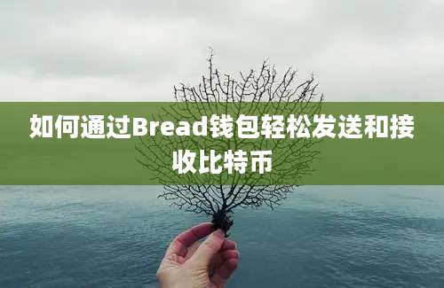 如何通过Bread钱包轻松发送和接收比特币