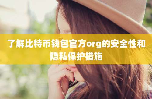 了解比特币钱包官方org的安全性和隐私保护措施