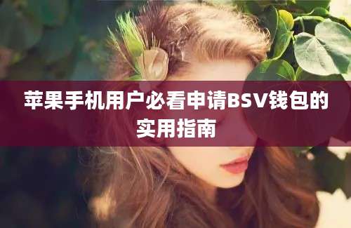 苹果手机用户必看申请BSV钱包的实用指南