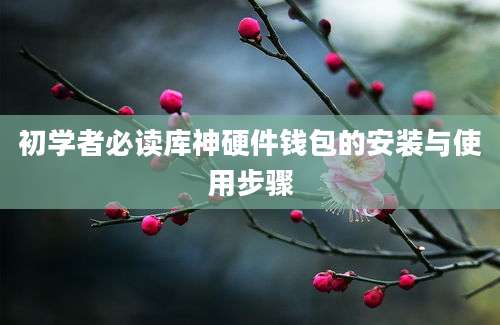 初学者必读库神硬件钱包的安装与使用步骤