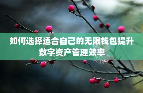 如何选择适合自己的无限钱包提升数字资产管理效率