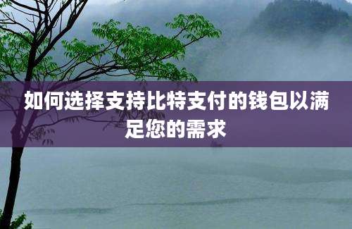 如何选择支持比特支付的钱包以满足您的需求