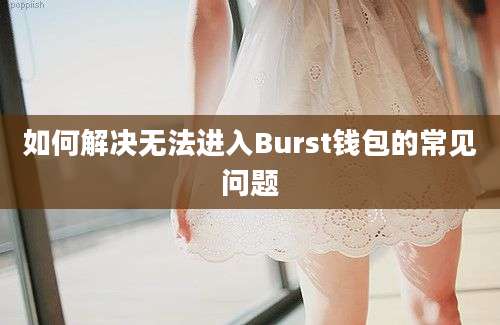 如何解决无法进入Burst钱包的常见问题