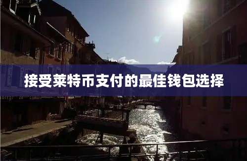 接受莱特币支付的最佳钱包选择