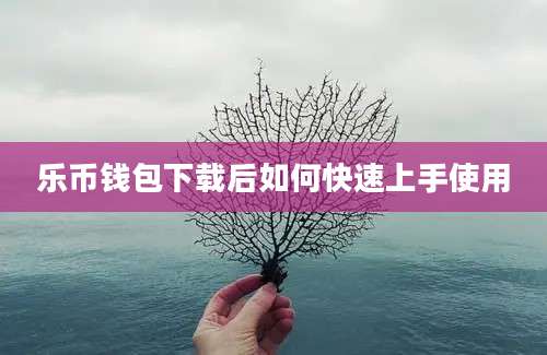 乐币钱包下载后如何快速上手使用