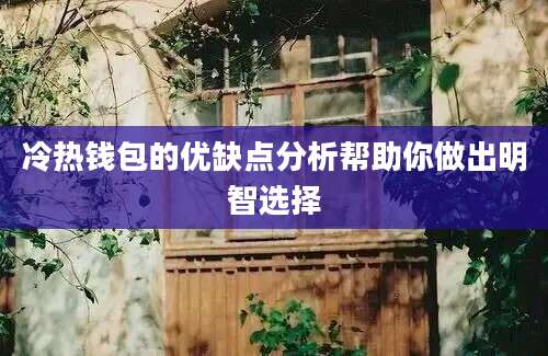 冷热钱包的优缺点分析帮助你做出明智选择