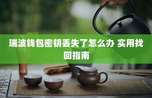 瑞波钱包密钥丢失了怎么办 实用找回指南