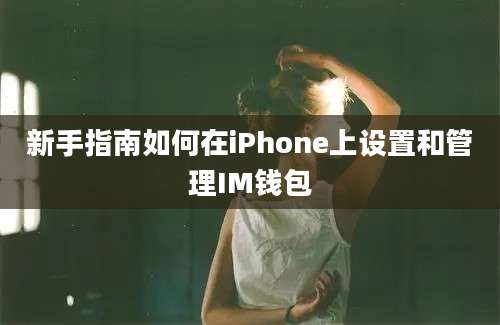 新手指南如何在iPhone上设置和管理IM钱包