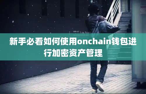 新手必看如何使用onchain钱包进行加密资产管理