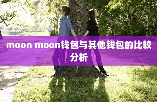 moon moon钱包与其他钱包的比较分析