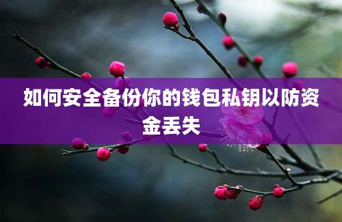 如何安全备份你的钱包私钥以防资金丢失