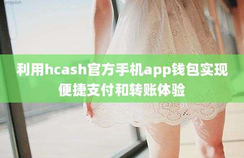 利用hcash官方手机app钱包实现便捷支付和转账体验