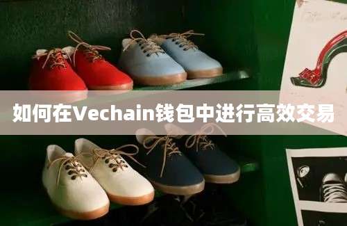 如何在Vechain钱包中进行高效交易