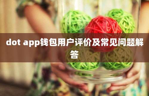 dot app钱包用户评价及常见问题解答