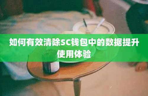 如何有效清除SC钱包中的数据提升使用体验