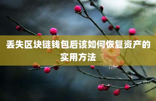 丢失区块链钱包后该如何恢复资产的实用方法