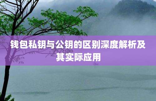 钱包私钥与公钥的区别深度解析及其实际应用