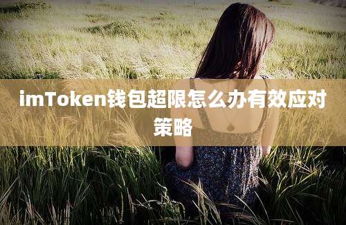 imToken钱包超限怎么办有效应对策略