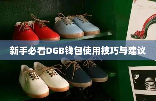 新手必看DGB钱包使用技巧与建议