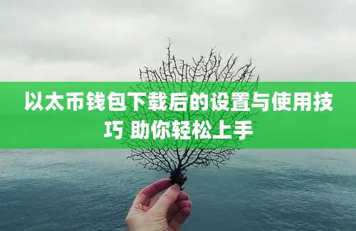 以太币钱包下载后的设置与使用技巧 助你轻松上手