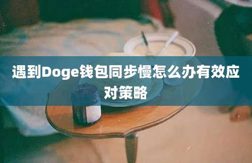 遇到Doge钱包同步慢怎么办有效应对策略