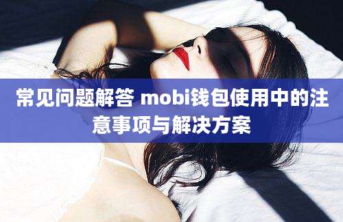 常见问题解答 mobi钱包使用中的注意事项与解决方案