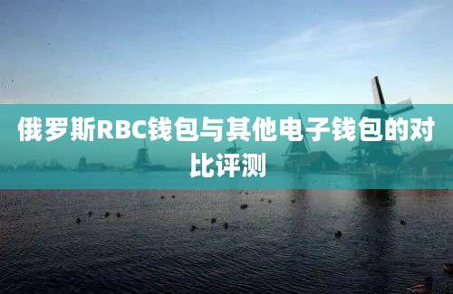 俄罗斯RBC钱包与其他电子钱包的对比评测