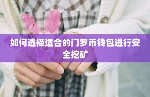 如何选择适合的门罗币钱包进行安全挖矿