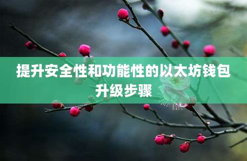 提升安全性和功能性的以太坊钱包升级步骤