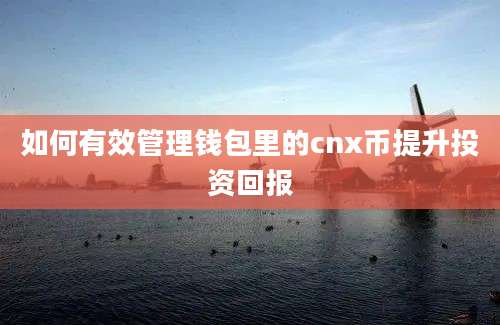 如何有效管理钱包里的cnx币提升投资回报