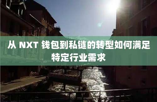 从 NXT 钱包到私链的转型如何满足特定行业需求