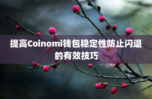 提高Coinomi钱包稳定性防止闪退的有效技巧