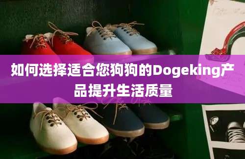 如何选择适合您狗狗的Dogeking产品提升生活质量