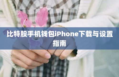 比特股手机钱包iPhone下载与设置指南