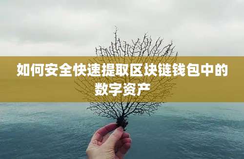 如何安全快速提取区块链钱包中的数字资产