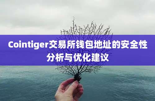 Cointiger交易所钱包地址的安全性分析与优化建议