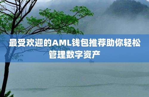 最受欢迎的AML钱包推荐助你轻松管理数字资产