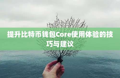 提升比特币钱包Core使用体验的技巧与建议