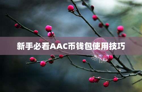 新手必看AAC币钱包使用技巧