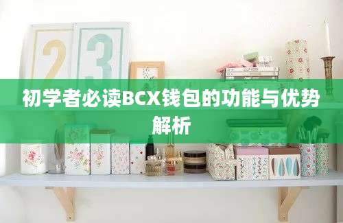 初学者必读BCX钱包的功能与优势解析