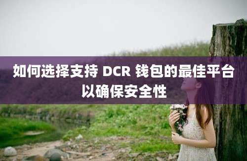 如何选择支持 DCR 钱包的最佳平台以确保安全性