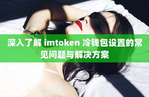 深入了解 imtoken 冷钱包设置的常见问题与解决方案