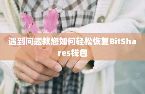 遇到问题教您如何轻松恢复BitShares钱包