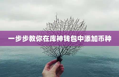 一步步教你在库神钱包中添加币种