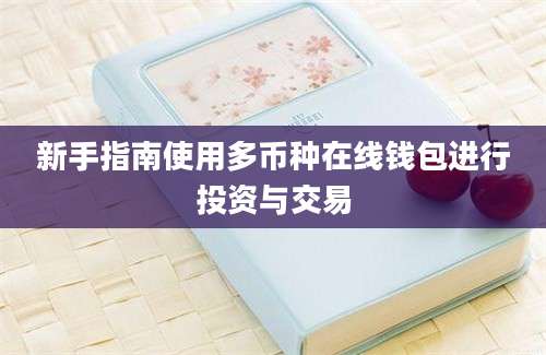 新手指南使用多币种在线钱包进行投资与交易