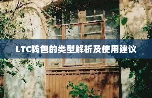 LTC钱包的类型解析及使用建议